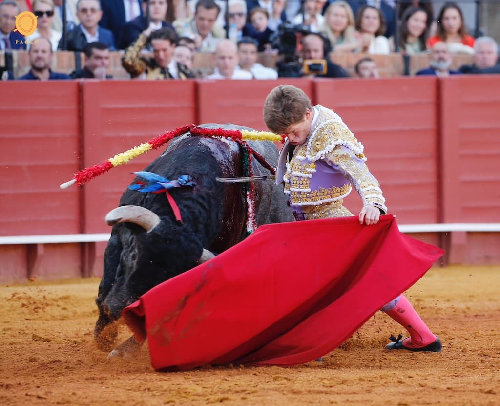  Entretenimiento, 